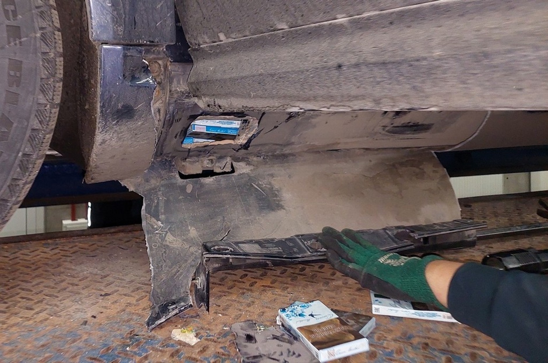 Labrador pomógł wykryć nielegalne papierosy