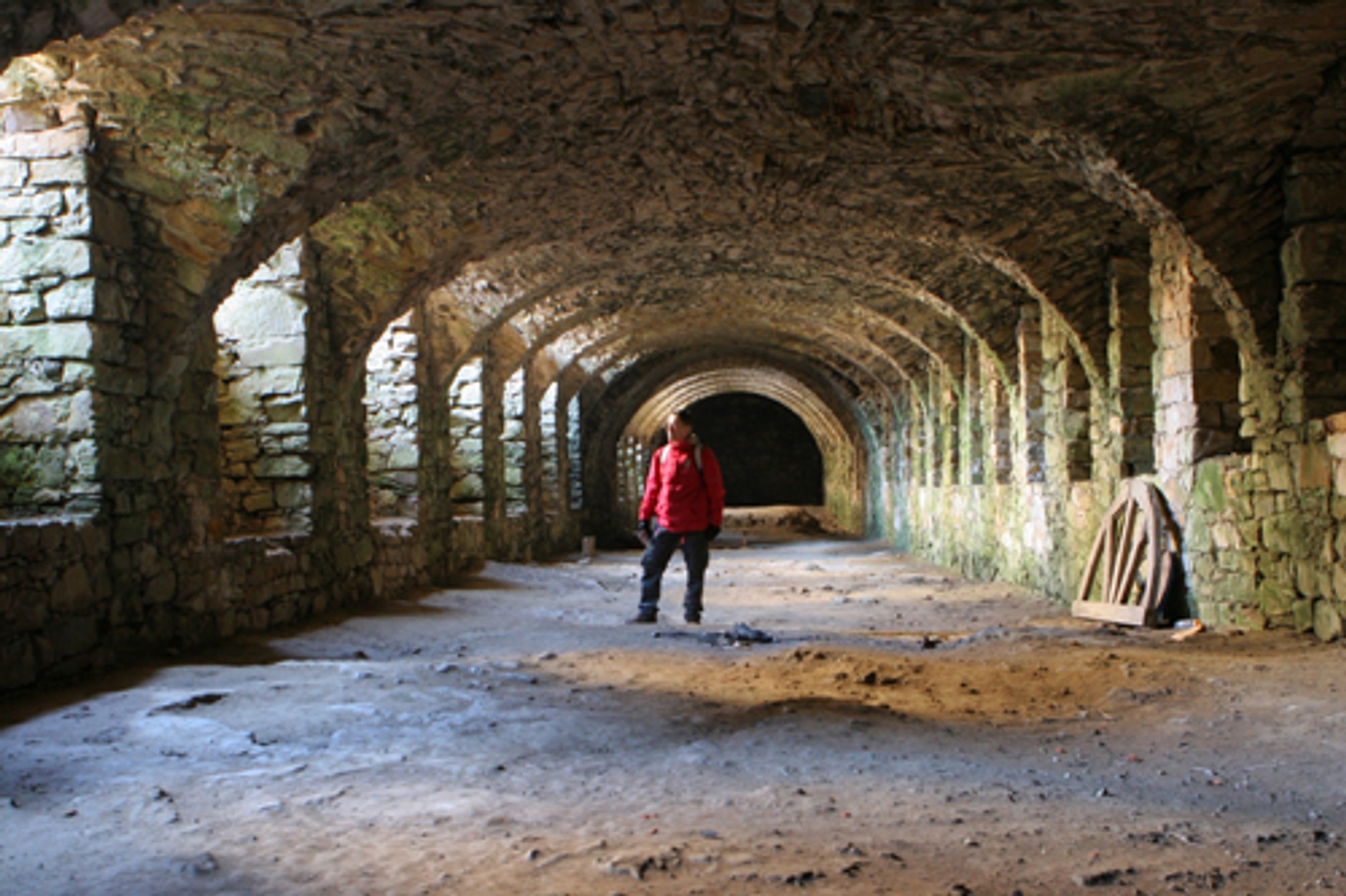 Kraina dinozaurów -  okolice Bałtowa (świętokrzyskie)