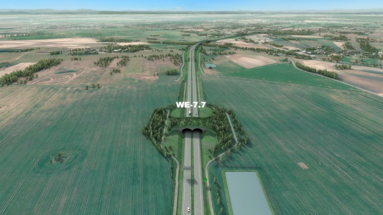 S6 Kołbaskowo - Dołuje - wizualizacja