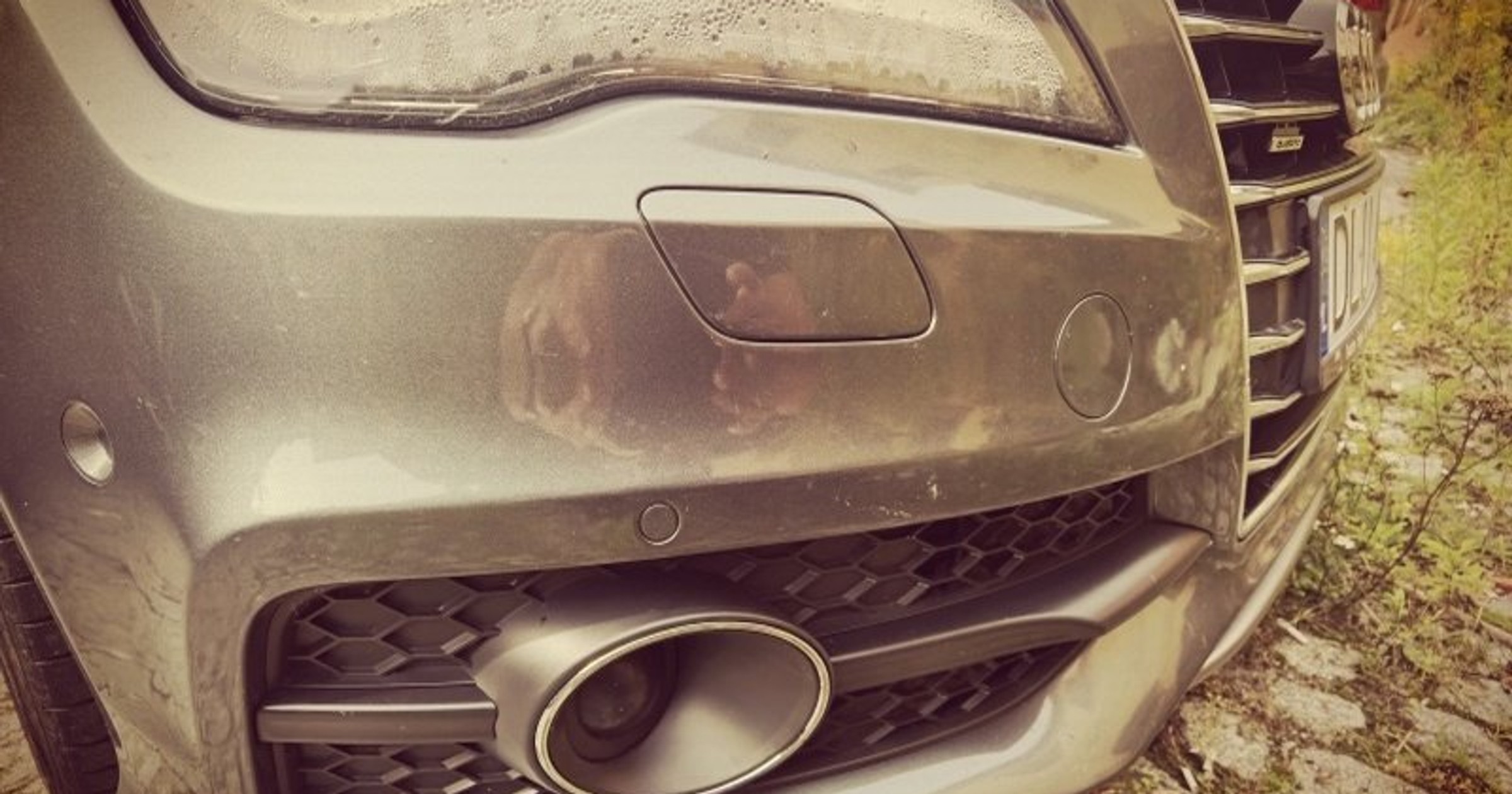 Przód Audi A7 Sportback
