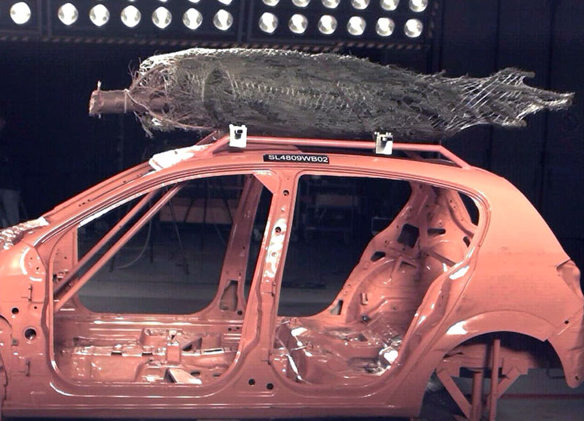 Choinka może zabić