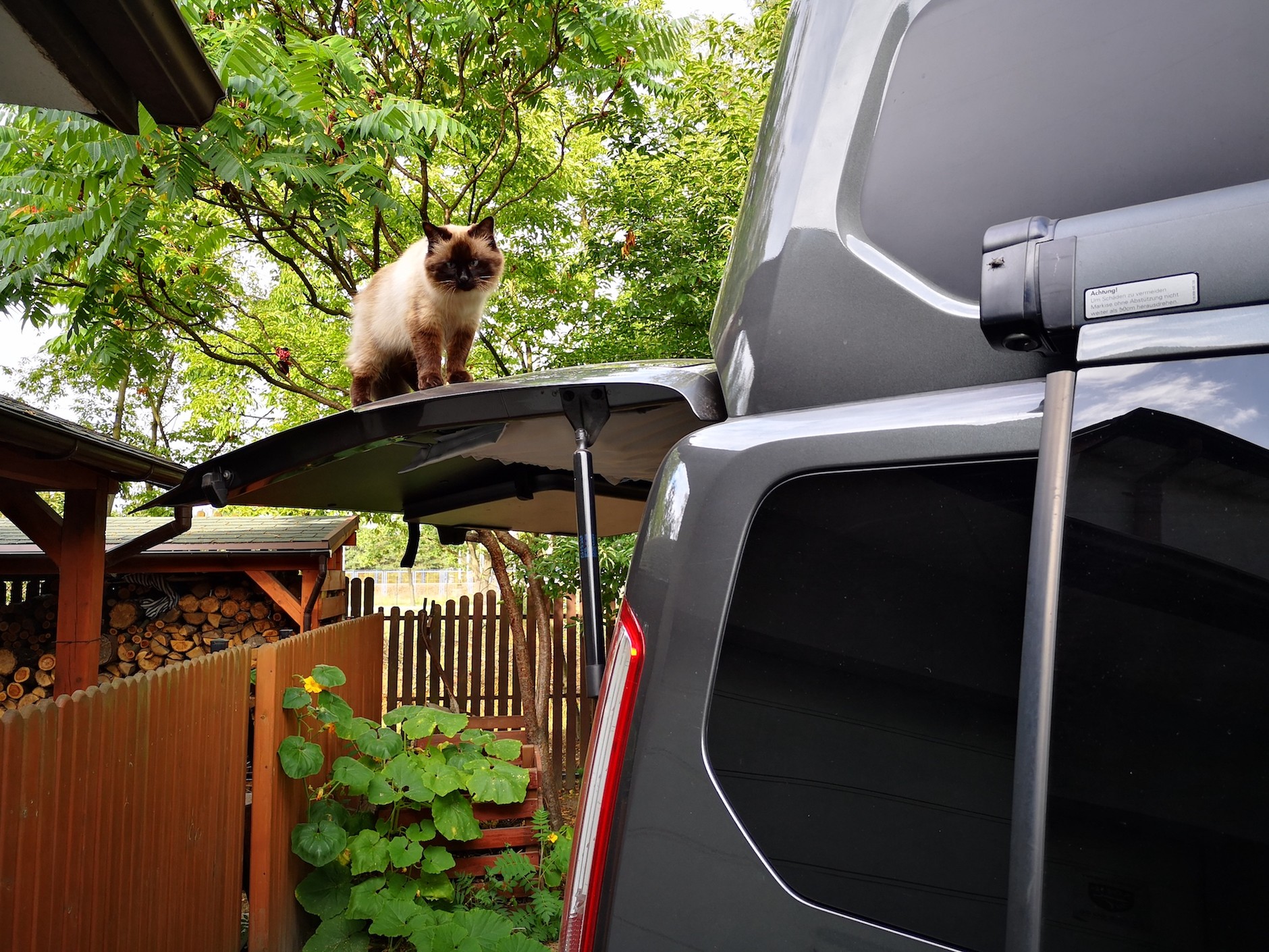 Ford Transit Custom Nugget Plus: tylna klapa po otwarciu tworzy poziomy „daszek”, który chroni od słońca i od deszczu