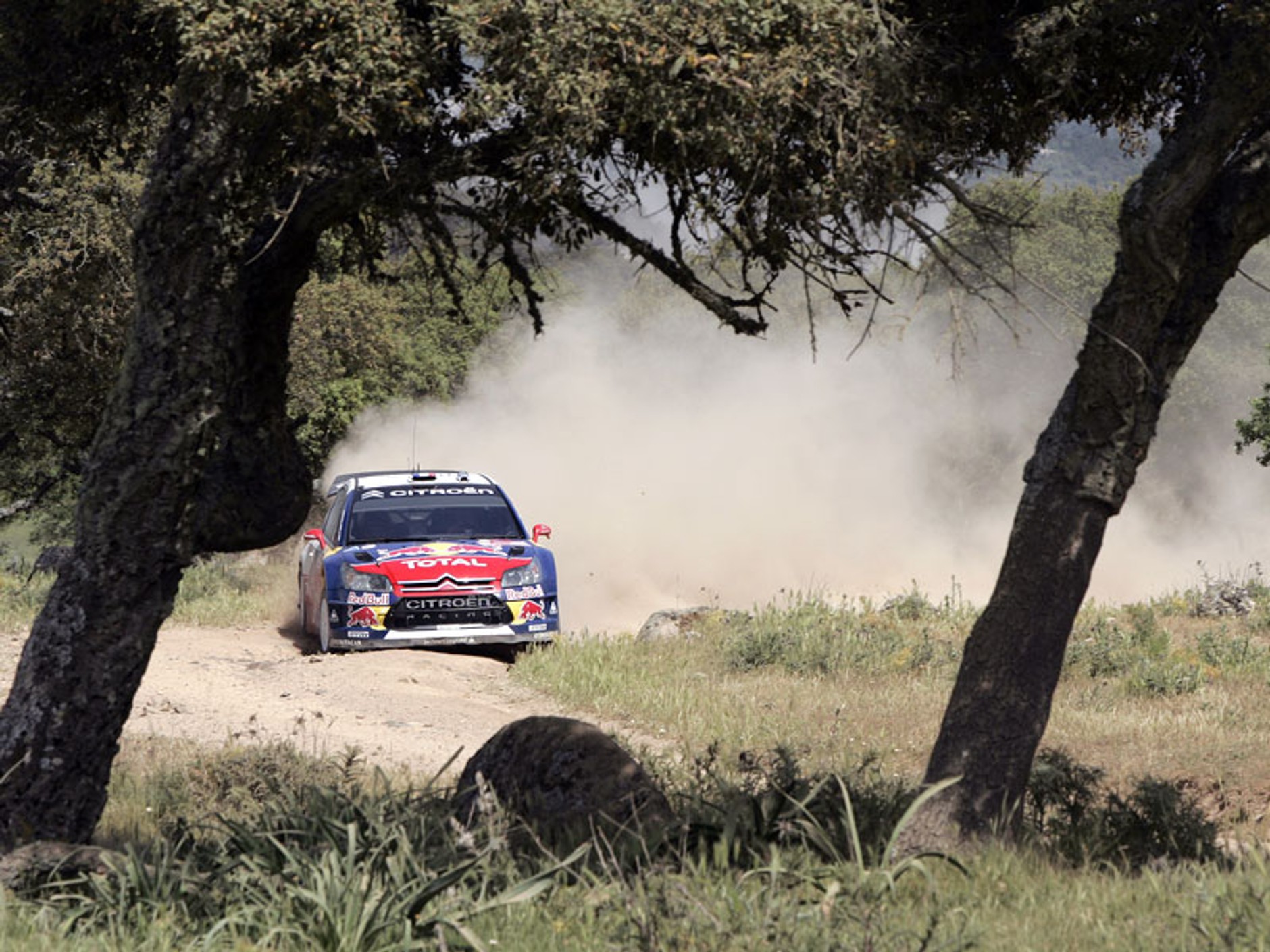 Rajd Włoch 2009: triumf Forda i przegrany Kościuszko (fotogaleria)